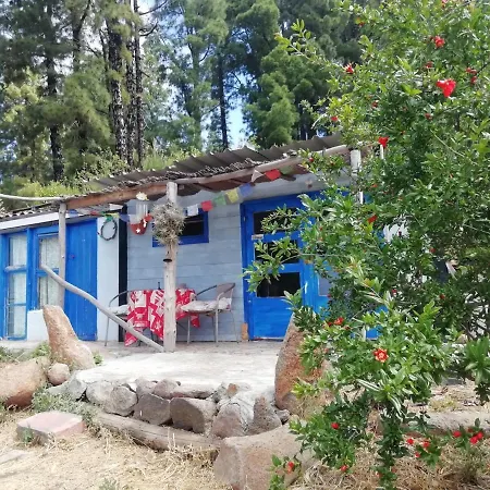 Campeggio Cabana De Bosque-forest House