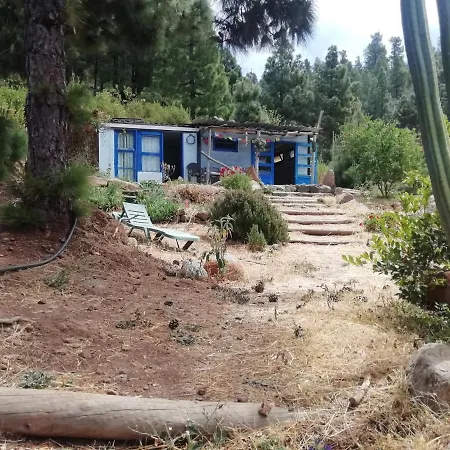 Cabana De Bosque-forest House Campeggio Arecida