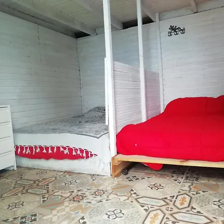 Cabana De Bosque-forest House Arecida